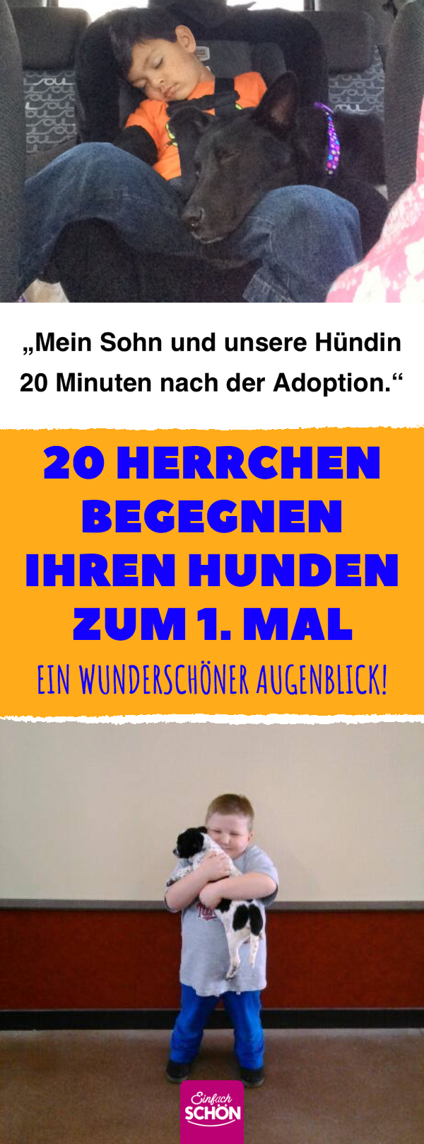 20 Herrchen begegnen ihren Hunden zum 1. Mal