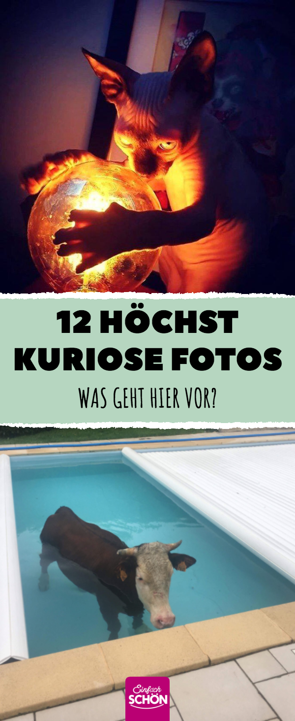 11 Bilder, die einen verwirrt zurücklassen