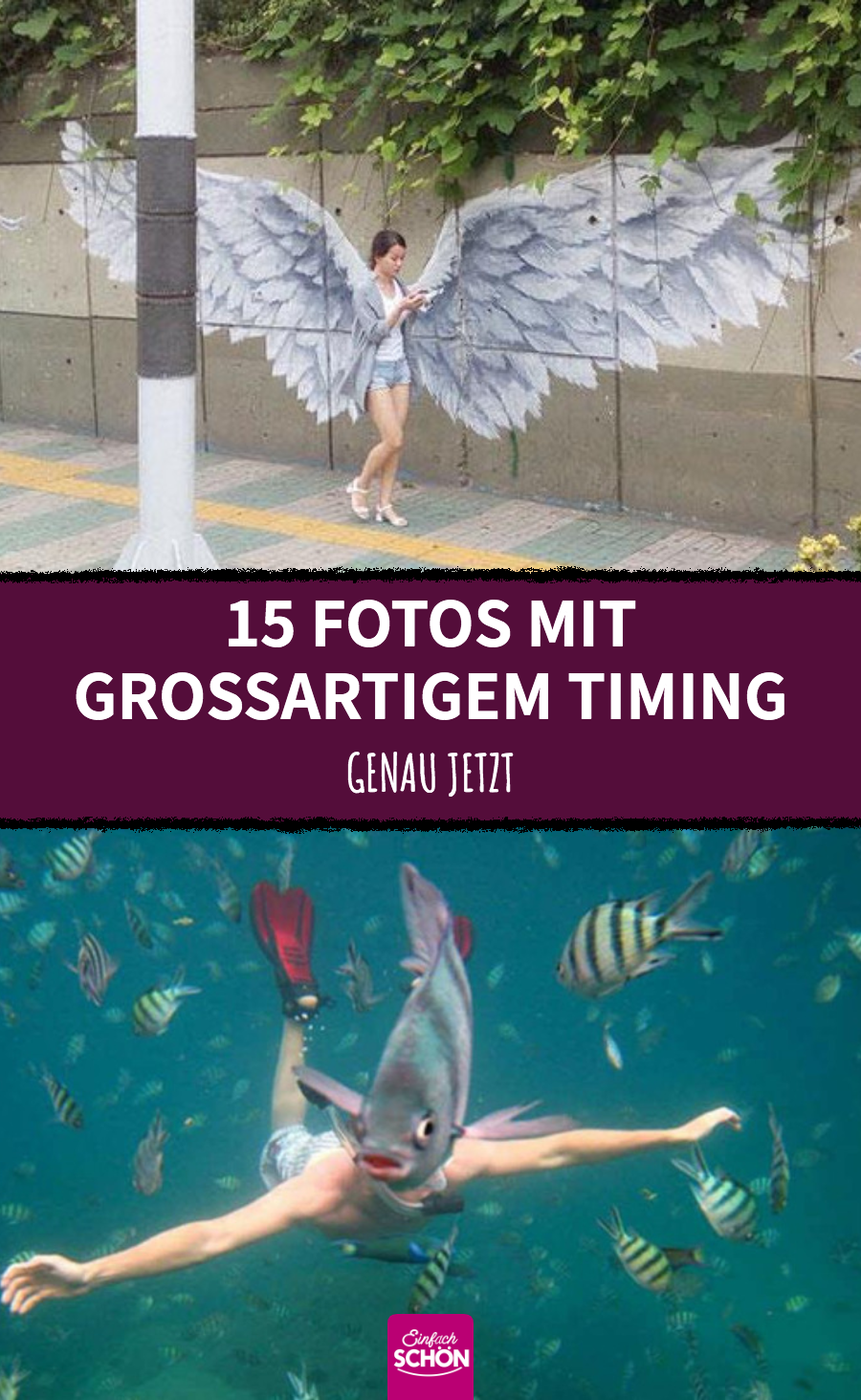 Perfektes Timing: Fotos im genau richtigen Moment