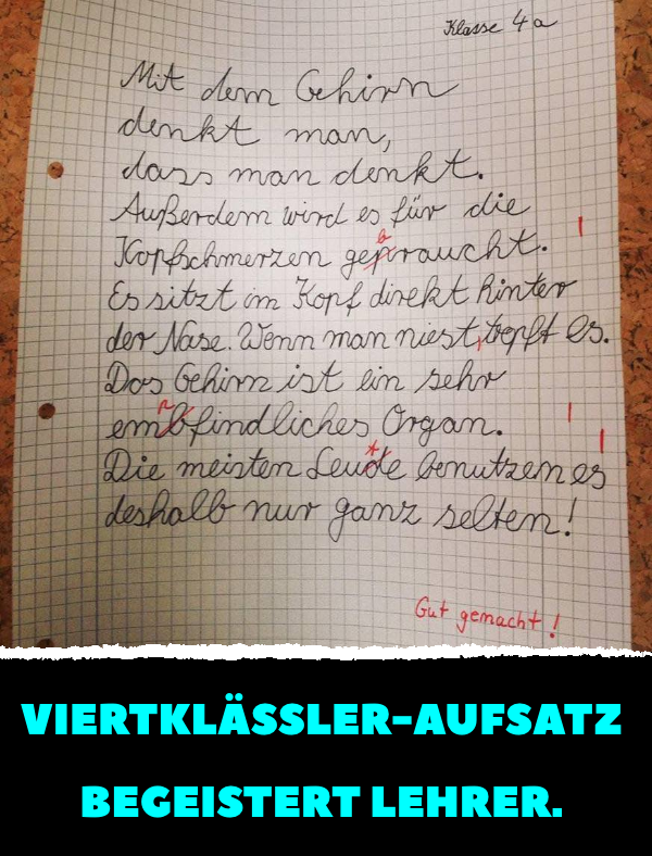 Viertklässler-Aufsatz begeistert Lehrer.