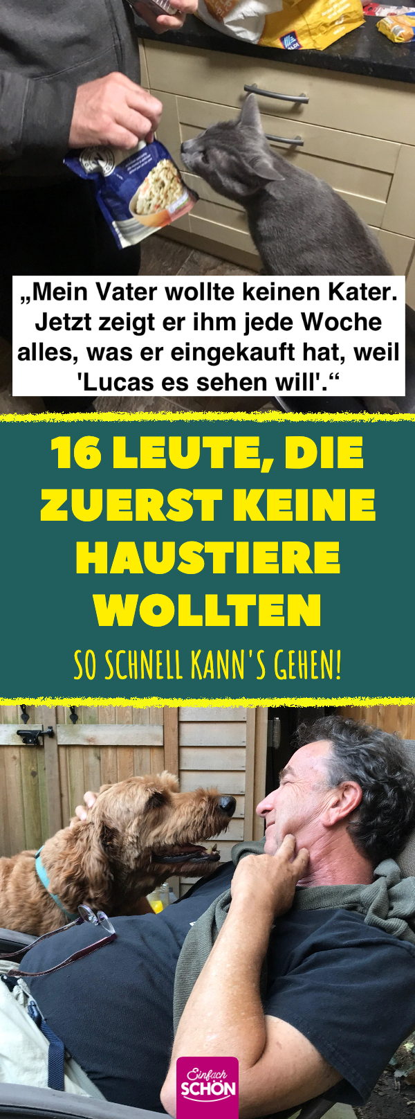 16 Leute, die zuerst keine Haustiere wollten