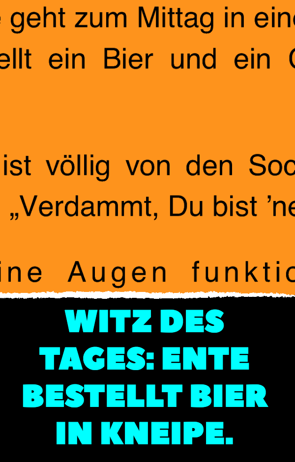 Witz des Tages: Ente bestellt Bier in Kneipe