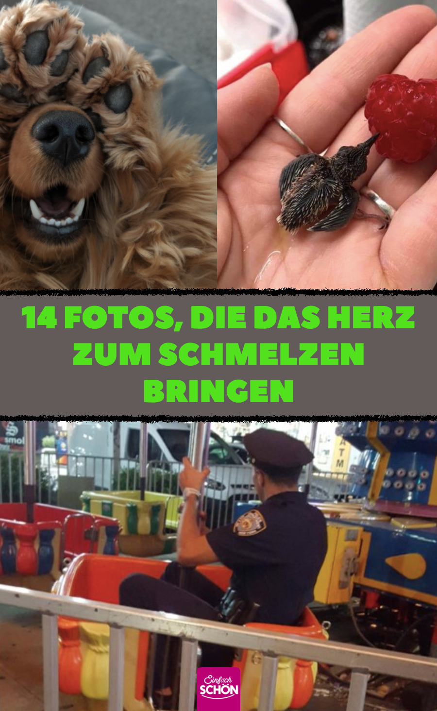 14 Fotos, die jede schlechte Laune vertreiben