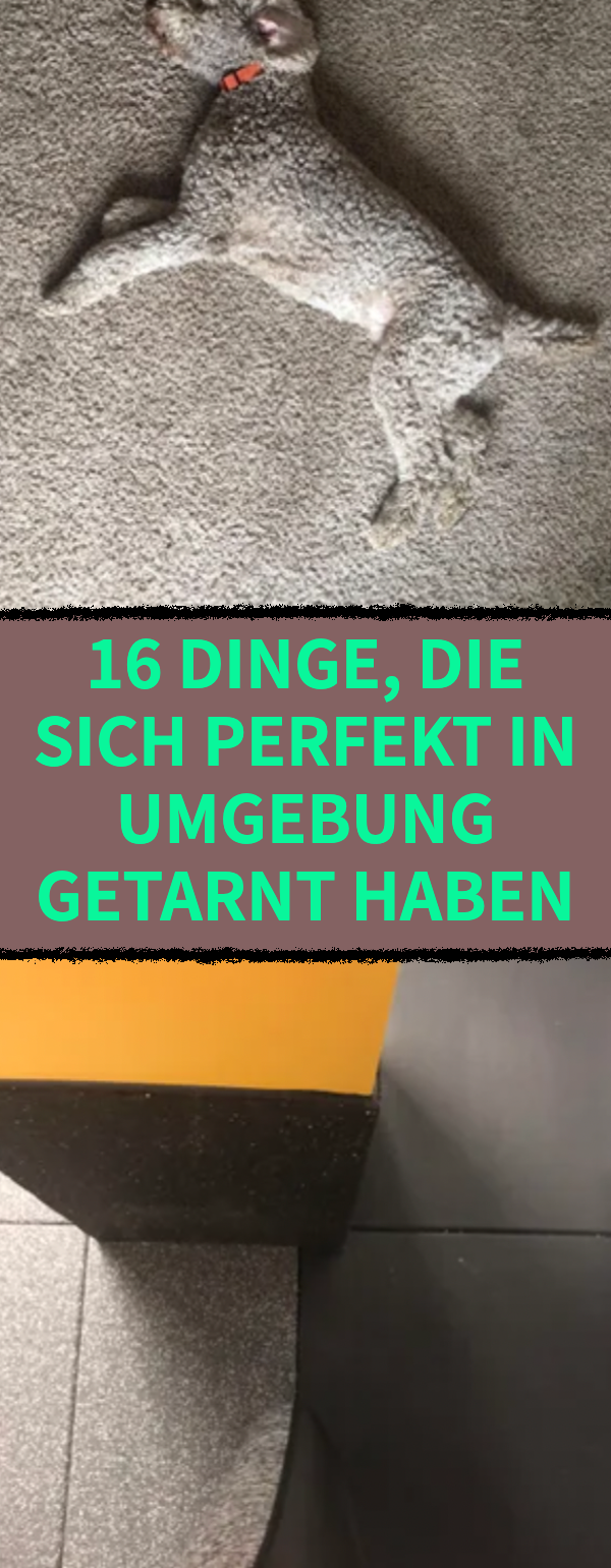 16 Dinge, die mit der Umgebung verschmelzen