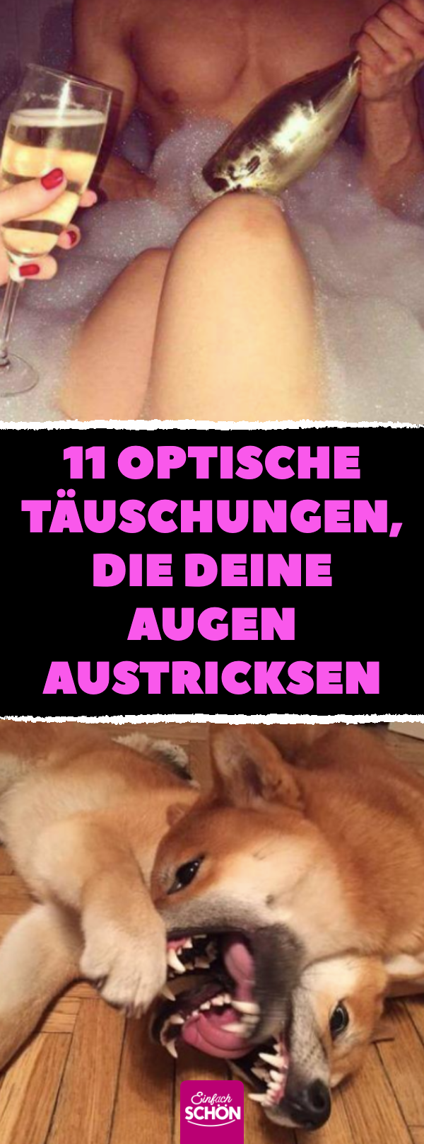 11 Fotos, die deine Augen austricksen