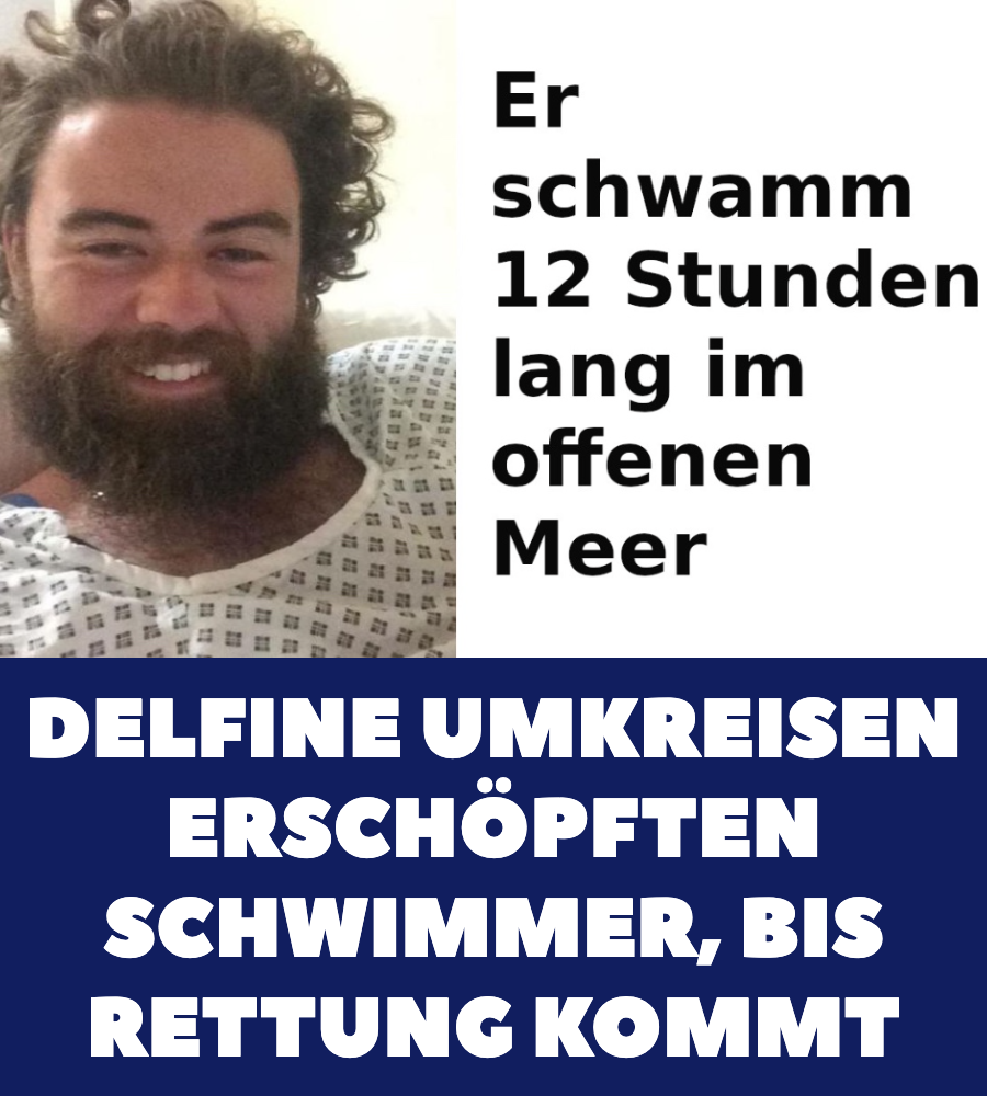 Delfine retten den vermissten Schwimmer Ruairí McSorley