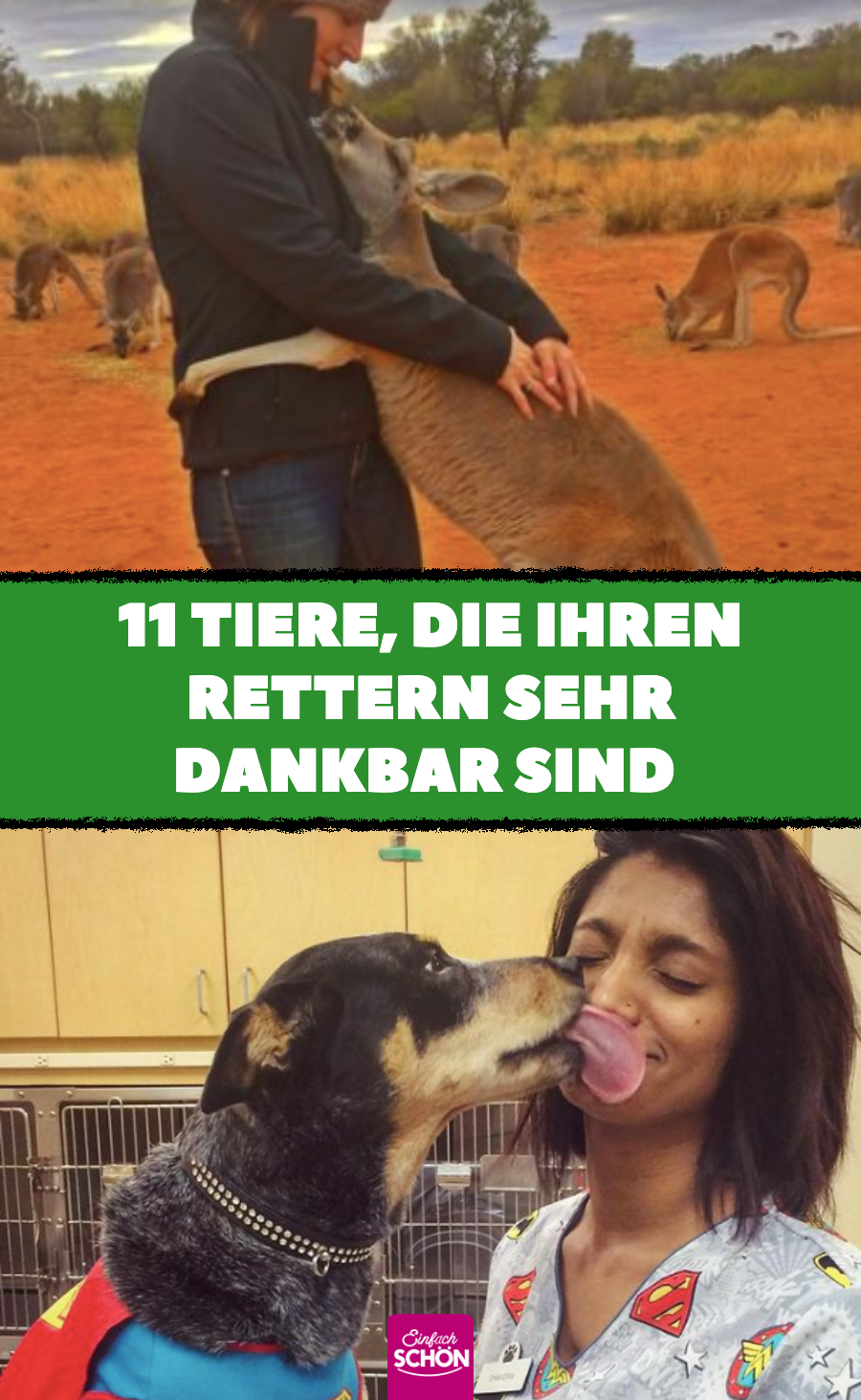 11 süße Tierbilder von Tieren und ihren Rettern