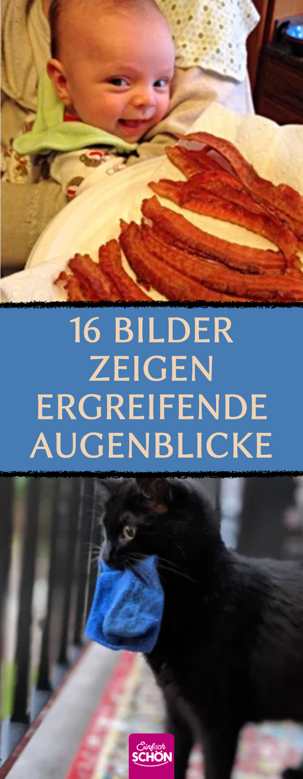 16 Bilder zeigen ergreifende Augenblicke