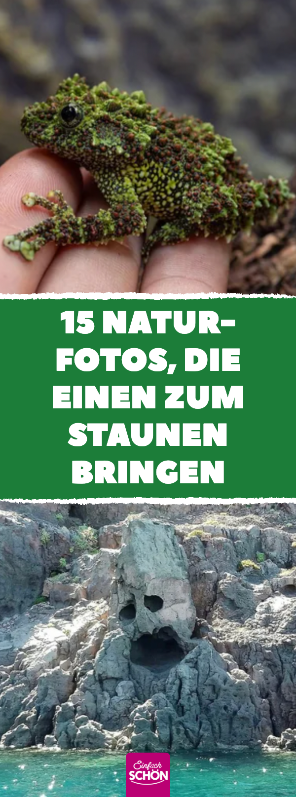 Momente aus der Natur, die niemand erwartet hat