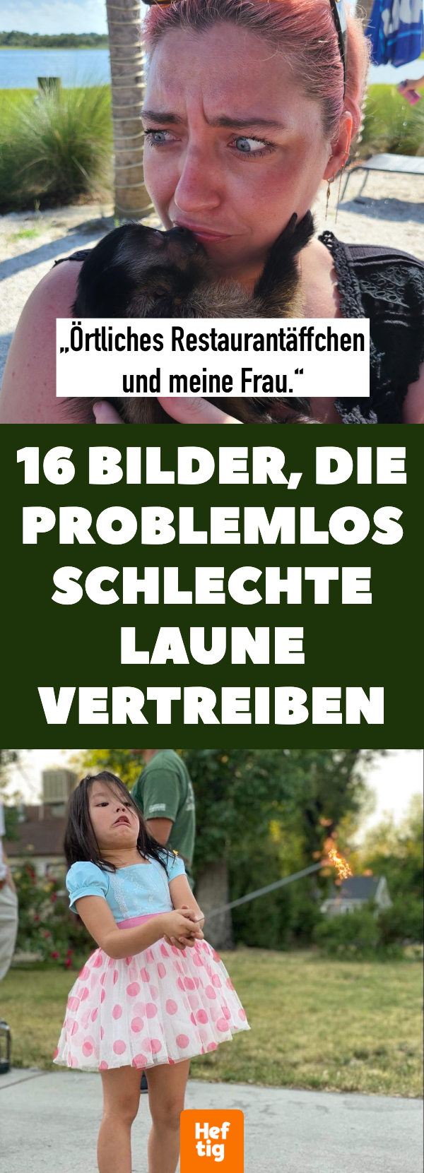 16 Bilder, die problemlos schlechte Laune vertreiben