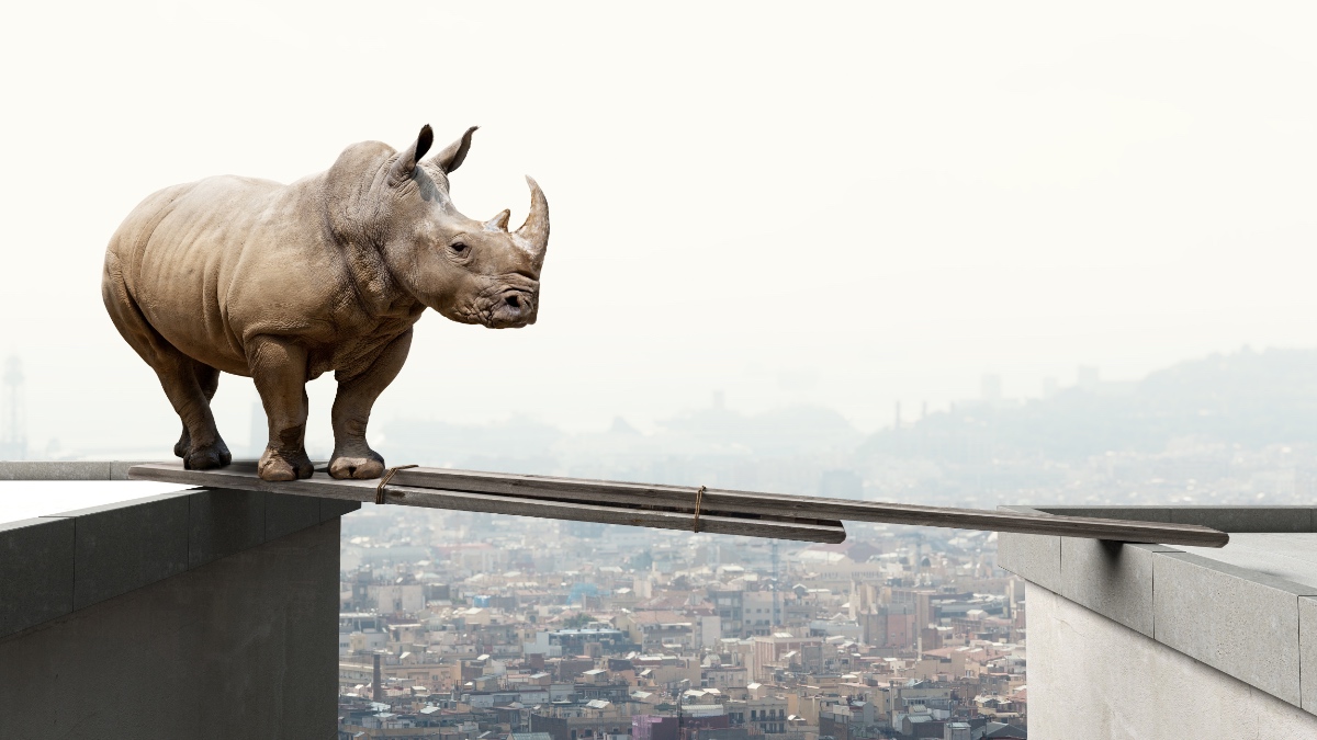 Ein Nashorn, das mittels Holzbalken den Abgrund zwischen zwei hohen Gebäuden überwinden will.