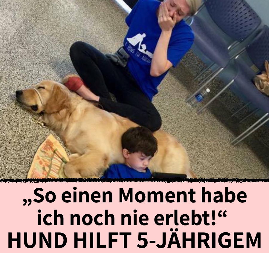 „So einen Moment habe ich noch nie erlebt“ – Hund hilft 5-Jährigem