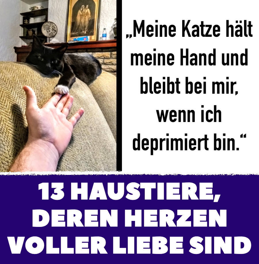 13 Haustiere, deren Herzen voller Liebe sind