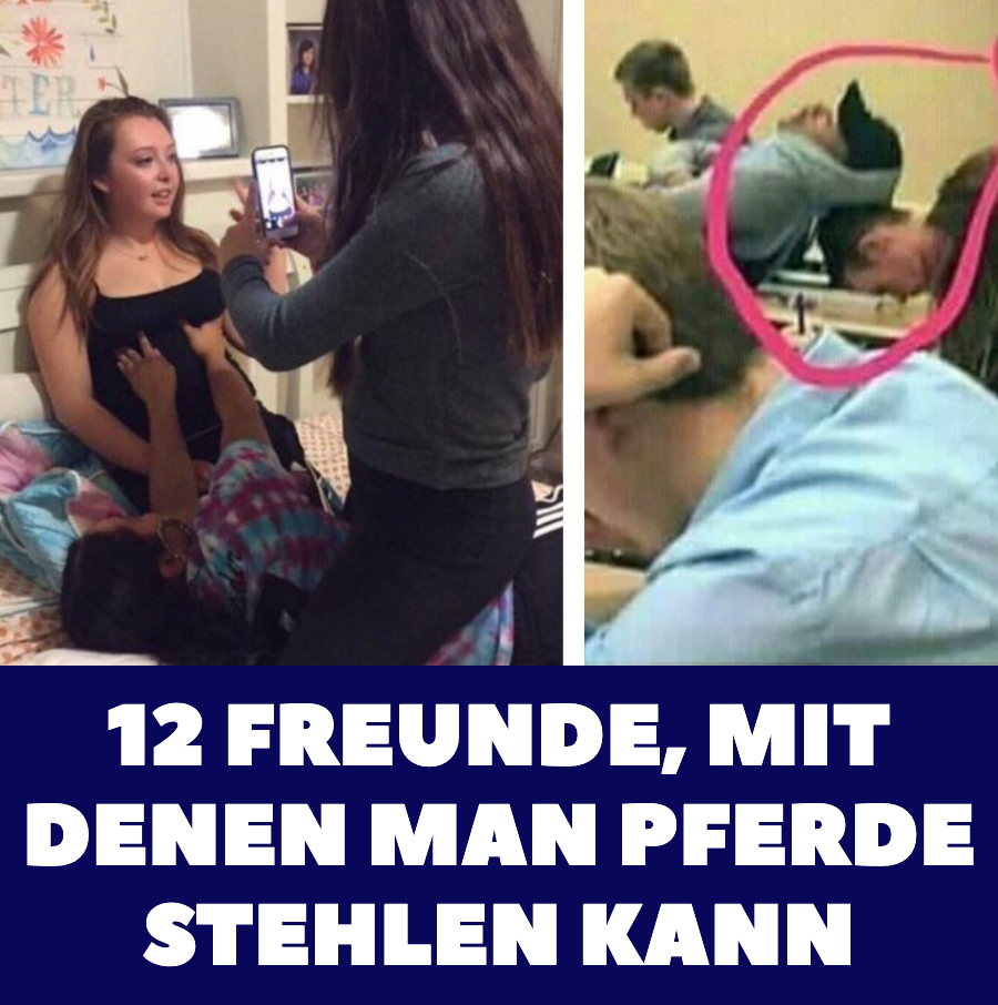 12 Freunde, mit denen man Pferde stehlen kann